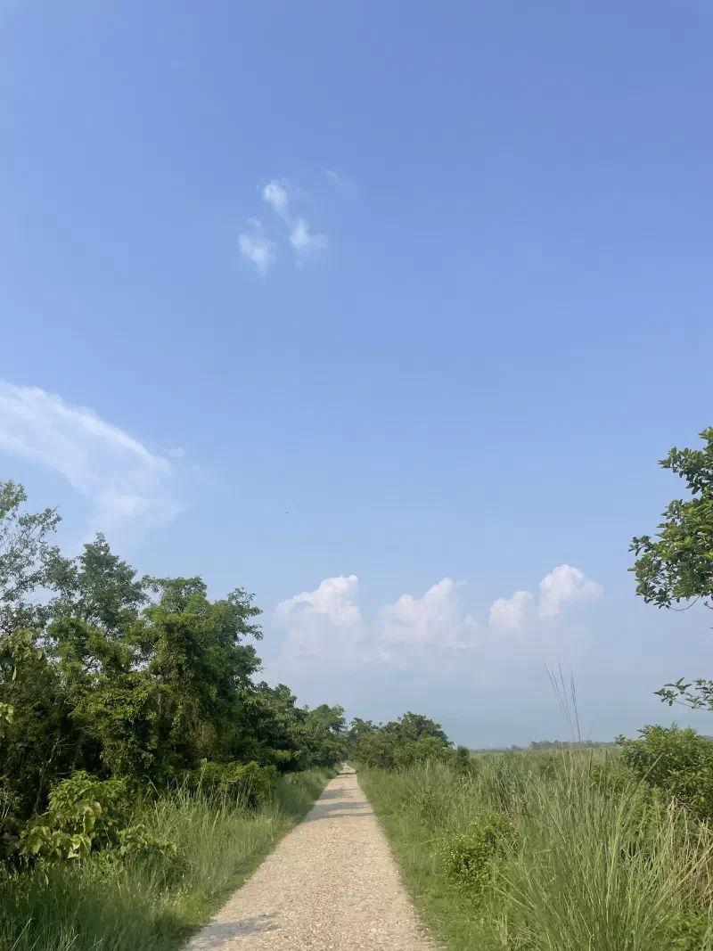 It was a hot day